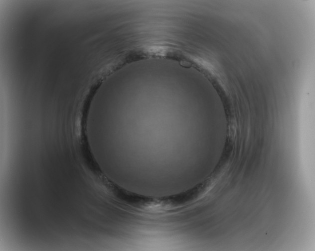 X0000089680504200707051609
