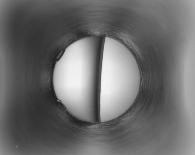 X0000089680505200707051609