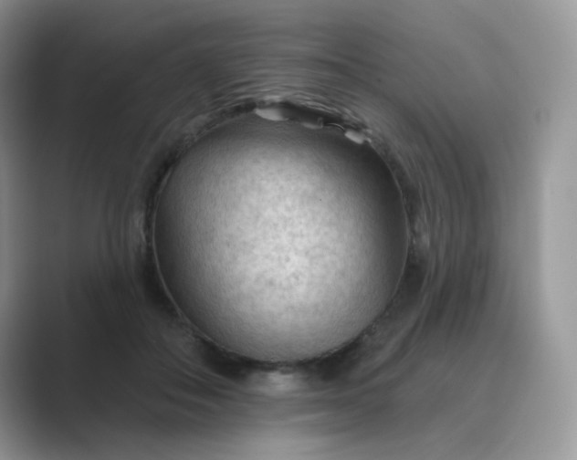 X0000089680506200707051609