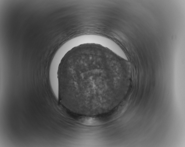 X0000089680507200707051609