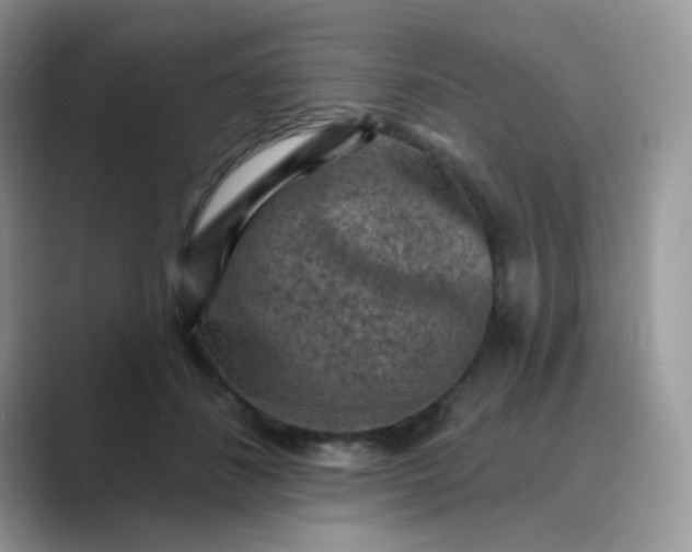 X0000089680508200707051609