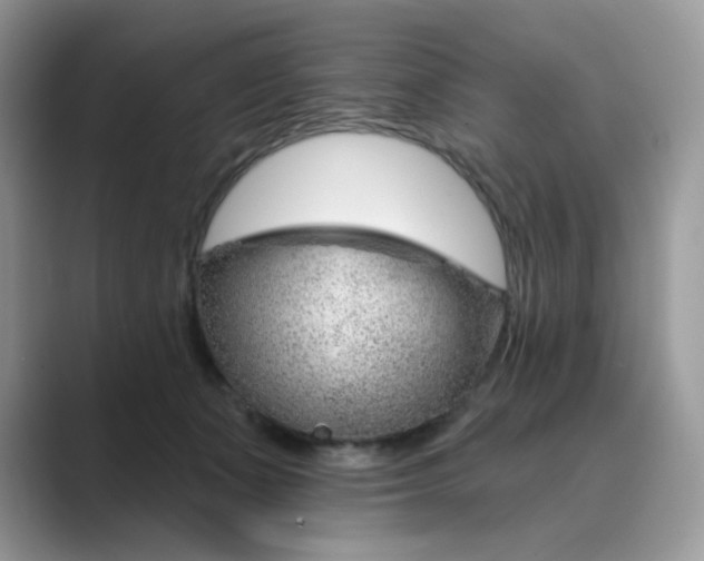 X0000089680511200707051609