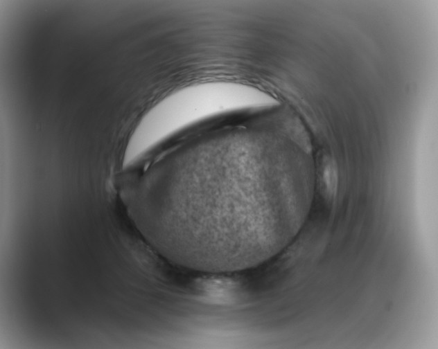 X0000089680512200707051609