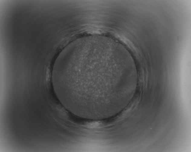 X0000089680513200707051609