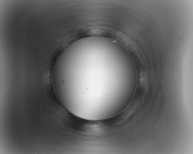 X0000089680514200707051609