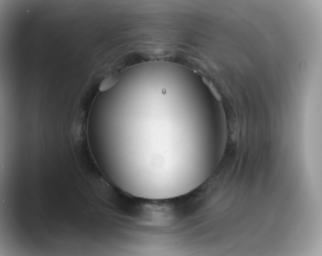 X0000089680515200707051609