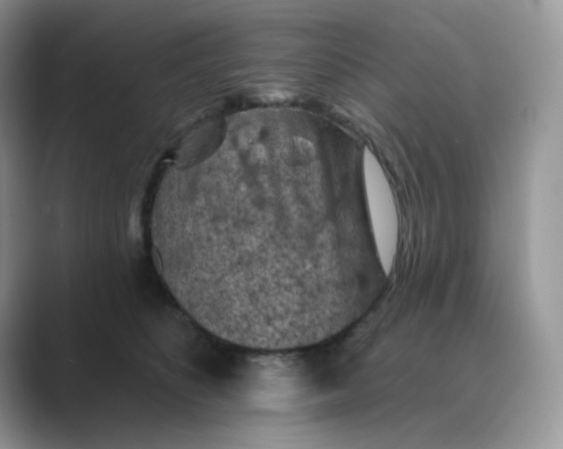 X0000089680516200707051609