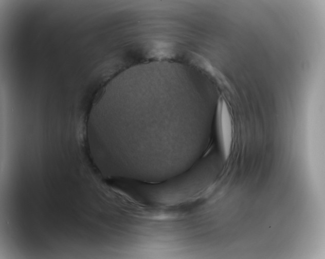 X0000089680517200707051609