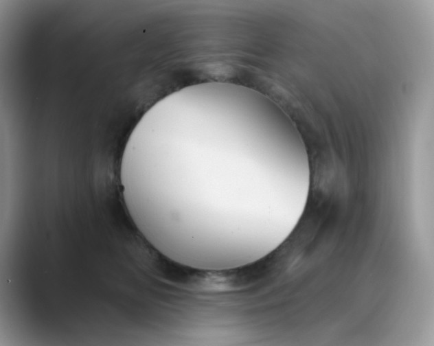 X0000089680518200707051609