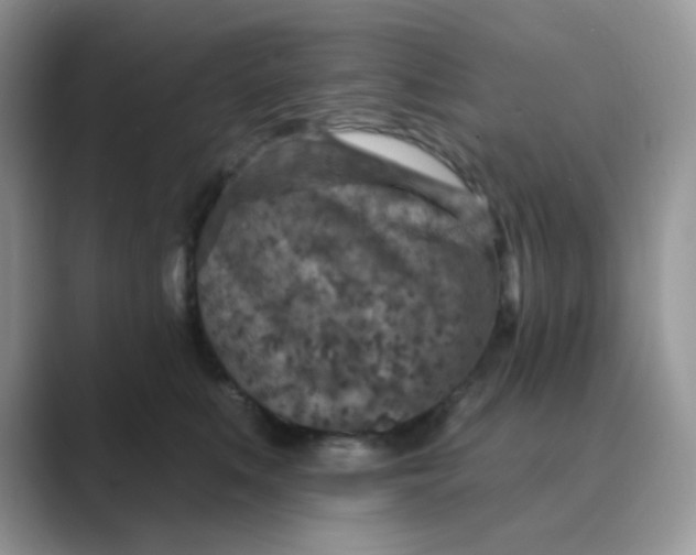 X0000089680519200707051609