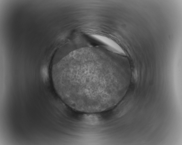 X0000089680520200707051609