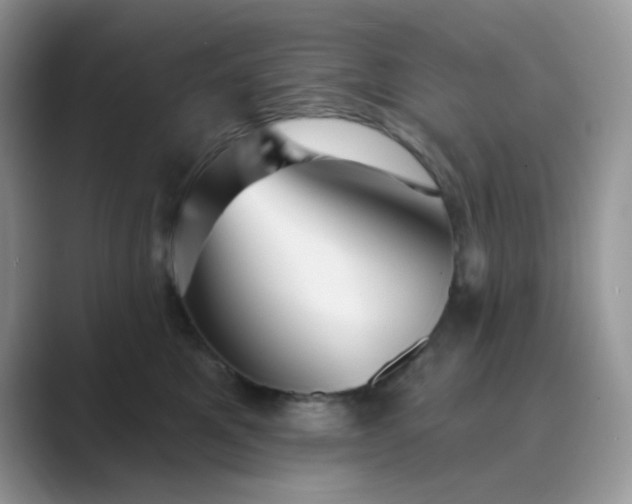 X0000089680521200707051609