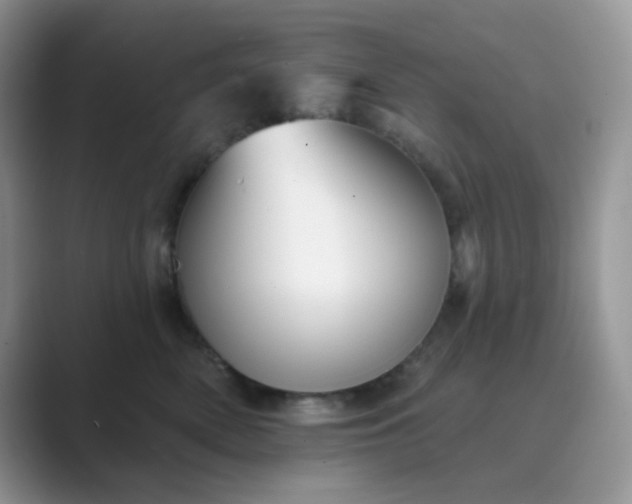 X0000089680522200707051609