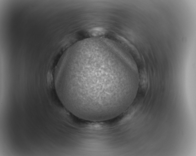 X0000089680523200707051609