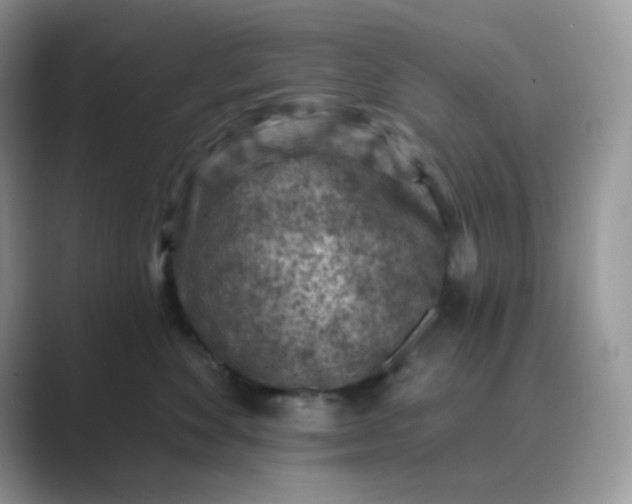 X0000089680524200707051609