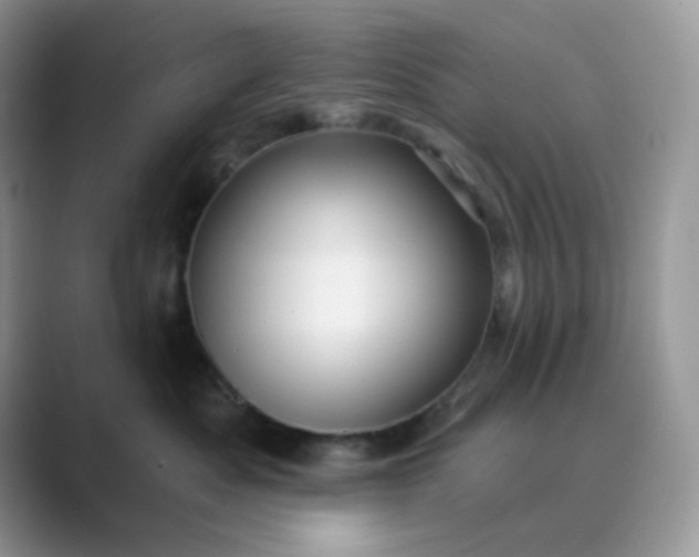 X0000089680525200707051609