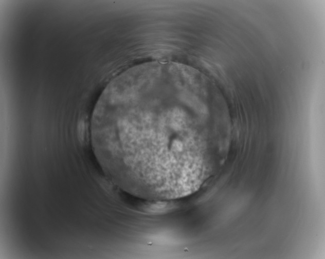 X0000089680527200707051609