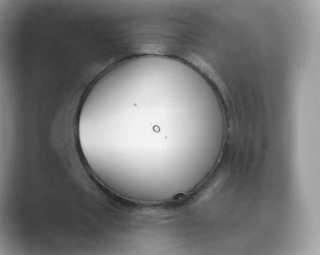 X0000089680529200707051608