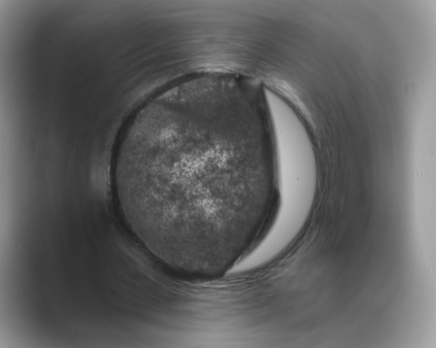 X0000089680531200707051608