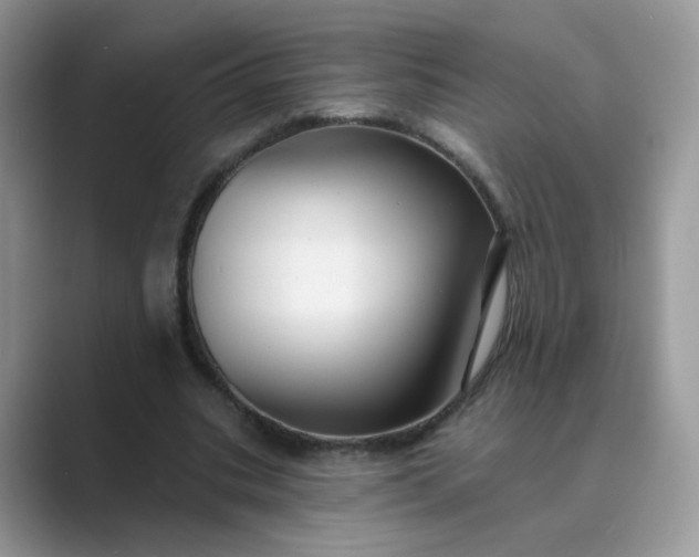 X0000089680535200707051608