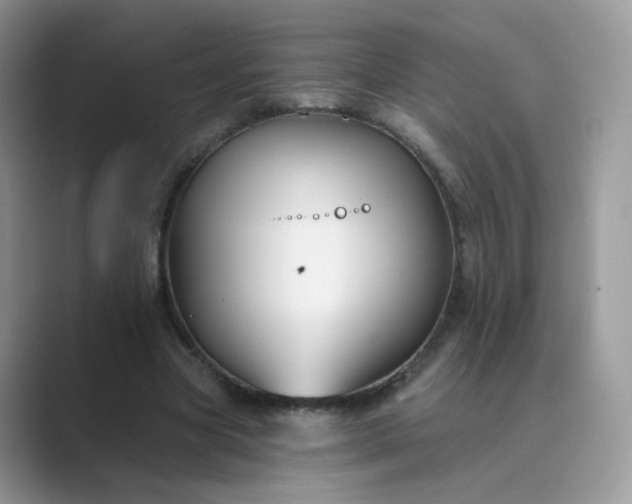 X0000089680537200707051608