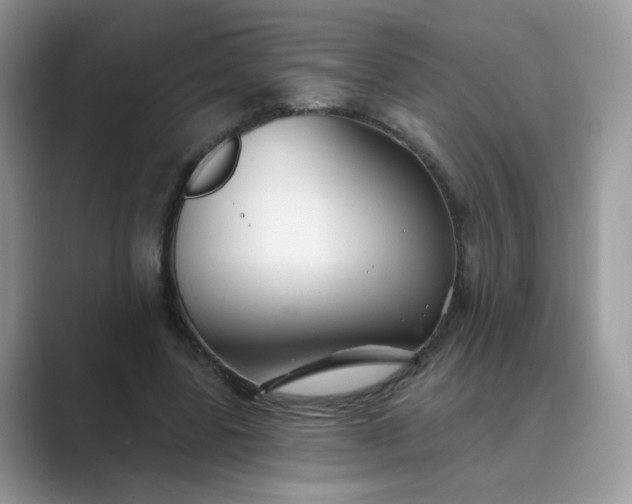 X0000089680539200707051608