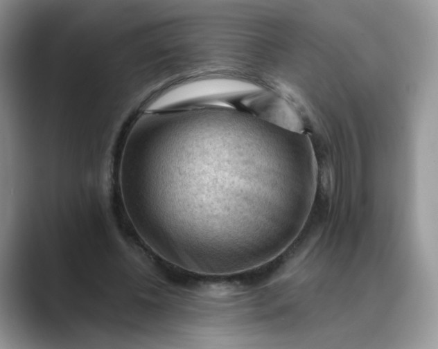 X0000089680540200707051608