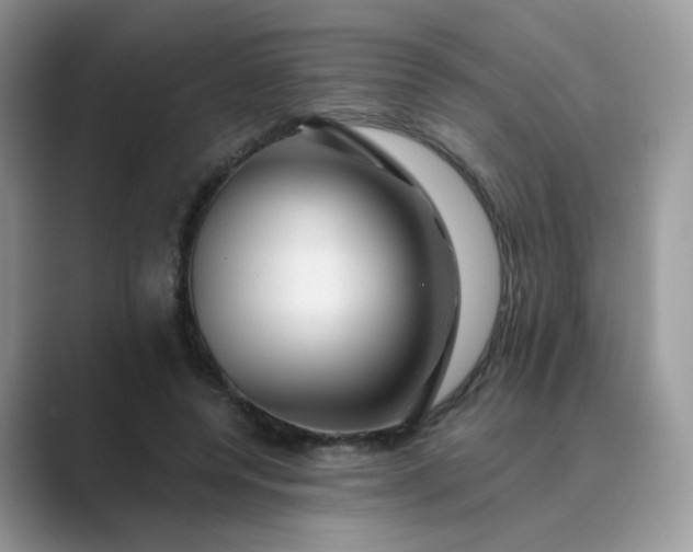 X0000089680544200707051608