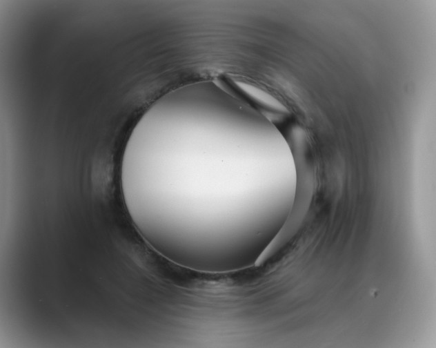 X0000089680548200707051608