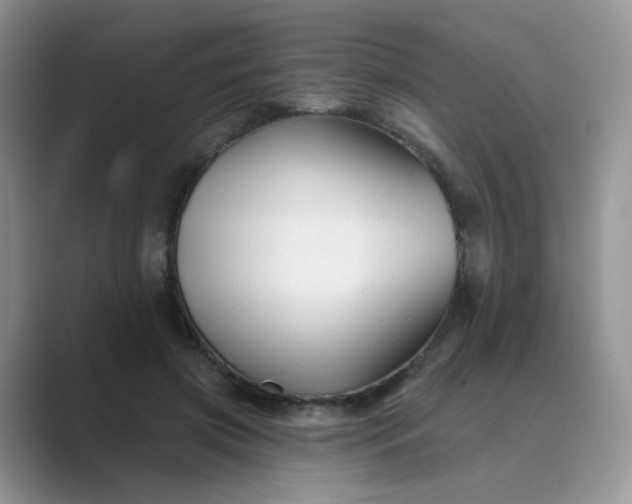 X0000089680549200707051608