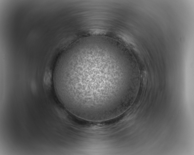 X0000089680550200707051608
