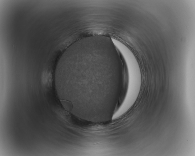 X0000089680551200707051608