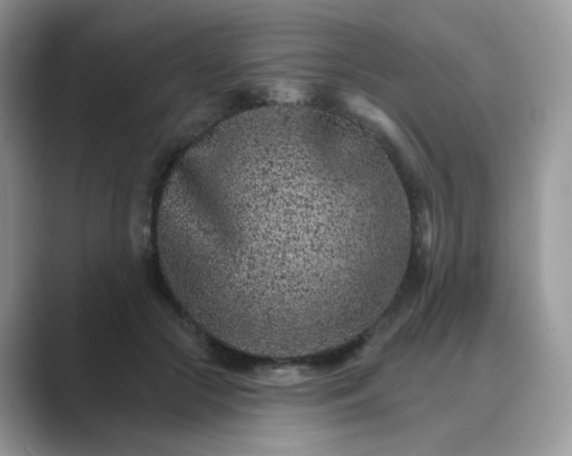 X0000089680553200707051608