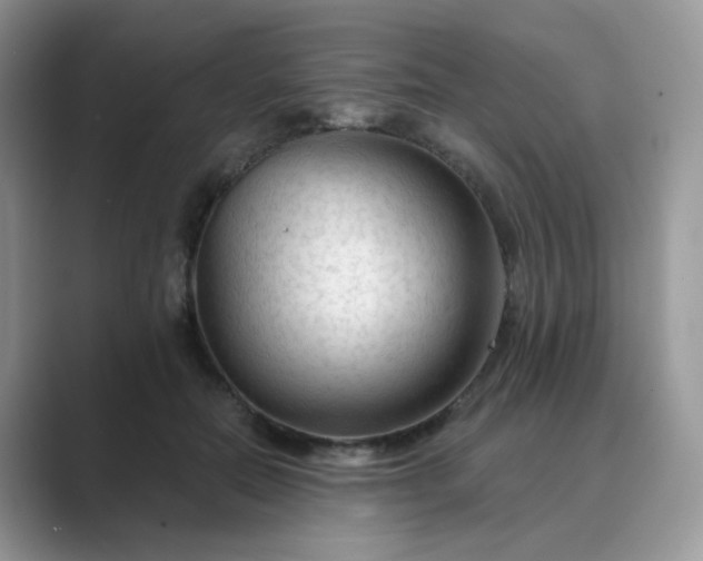 X0000089680554200707051608
