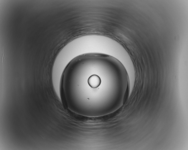 X0000089680556200707051608