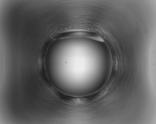 X0000089680558200707051608