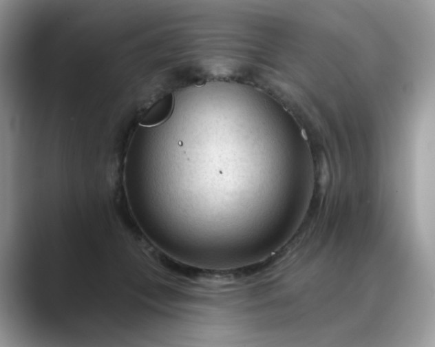 X0000089680559200707051608