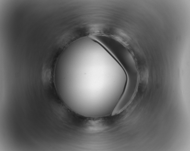X0000089680560200707051608