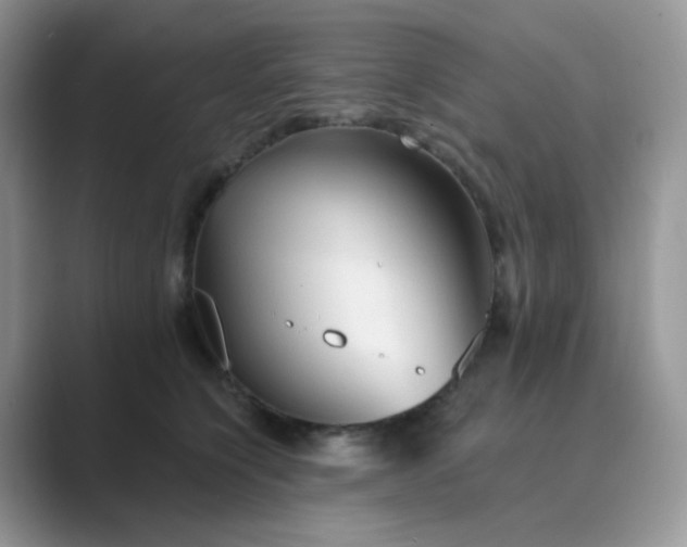 X0000089680564200707051608