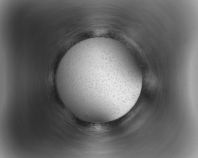 X0000089680565200707051608