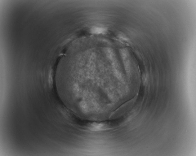X0000089680570200707051609