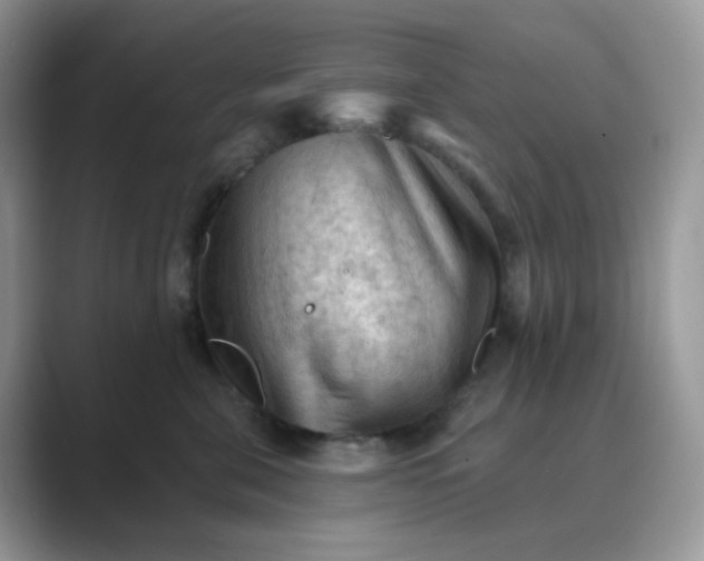 X0000089680571200707051609