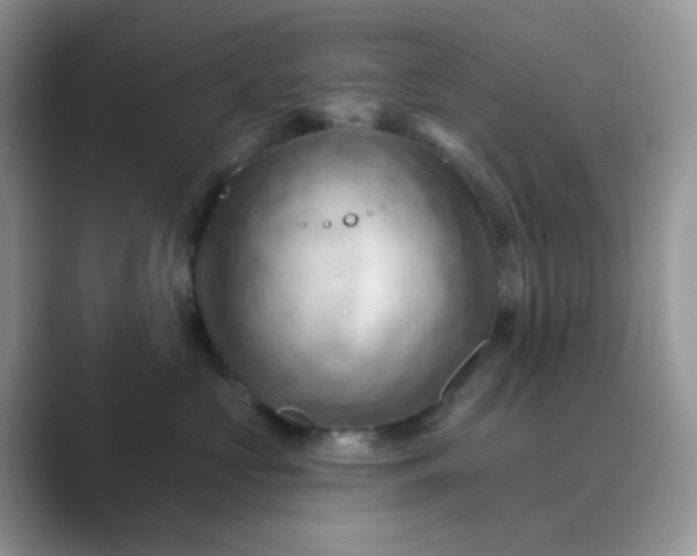 X0000089680573200707051609