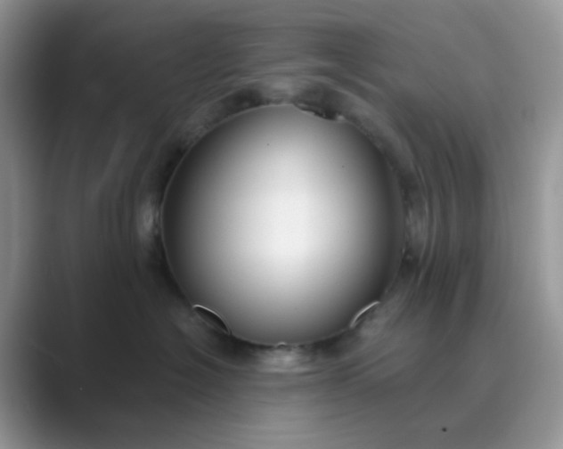 X0000089680574200707051609
