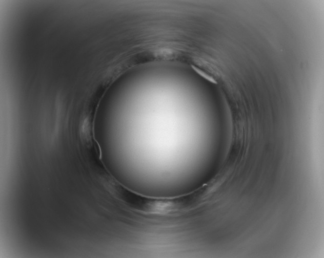 X0000089680575200707051609