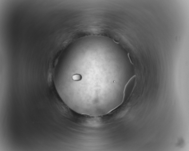 X0000089680576200707051609