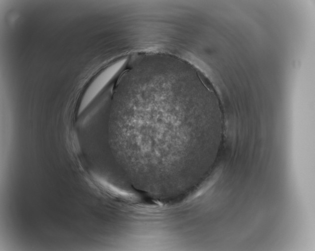X0000089680577200707051608