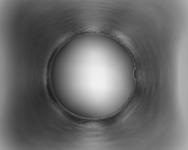 X0000089680578200707051608