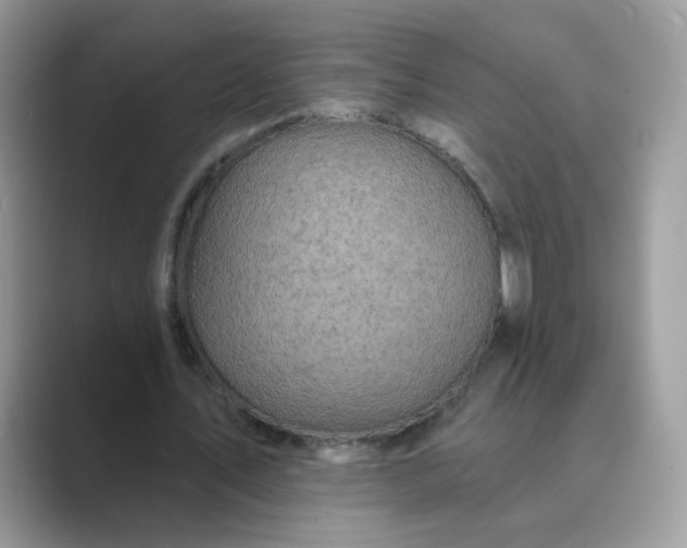 X0000089680579200707051608
