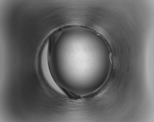 X0000089680580200707051608